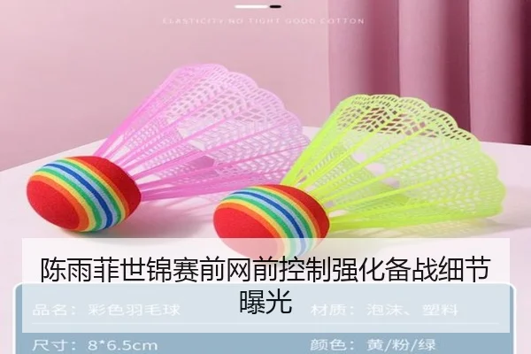 陈雨菲世锦赛前网前控制强化备战细节曝光