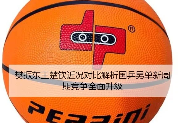 樊振东王楚钦近况对比解析国乒男单新周期竞争全面升级